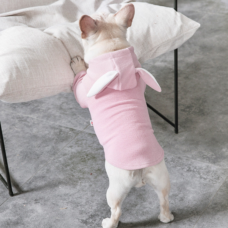 Dog Pet Clothes for Spring & Autumn | Stylish Seasonal Outfits UK