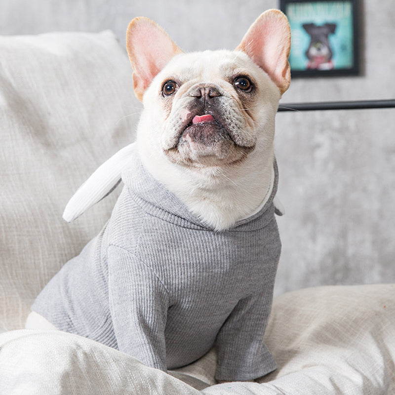 Dog Pet Clothes for Spring & Autumn | Stylish Seasonal Outfits UK