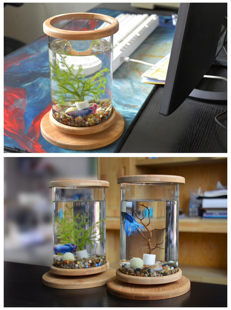 Mini Glass Aquarium with Bamboo Base | The Petorium UK