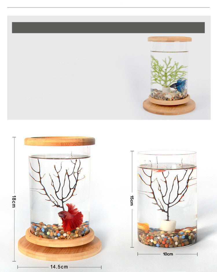 Mini Glass Aquarium with Bamboo Base | The Petorium UK