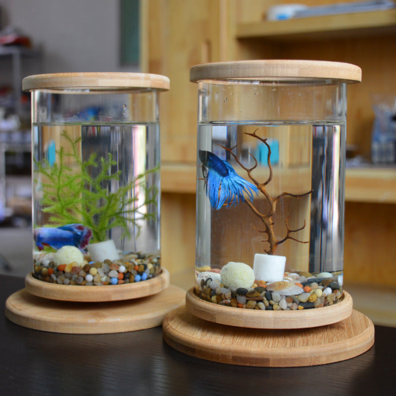 Mini Glass Aquarium with Bamboo Base | The Petorium UK