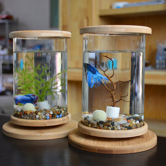 Mini Glass Aquarium with Bamboo Base | The Petorium UK