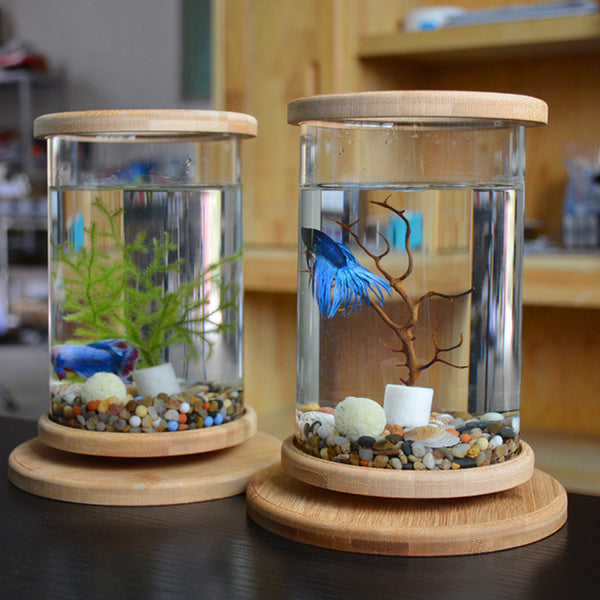 Mini Glass Aquarium with Bamboo Base | The Petorium UK