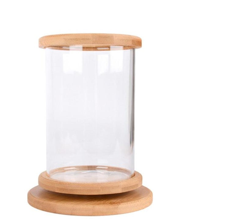 Mini Glass Aquarium with Bamboo Base | The Petorium UK