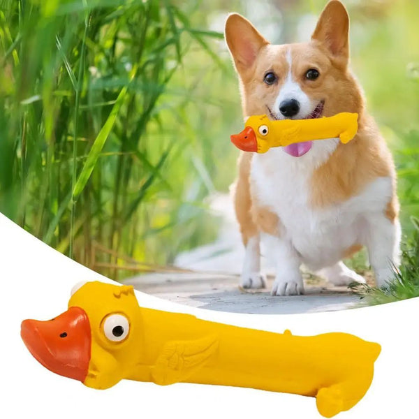Teeth Grinding Latex Dog Toy | Yellow Duck Squeaky Chew Toy UK