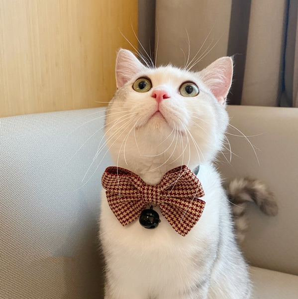 Pet Collar with Cat Bow | Cute Puppet Decoration