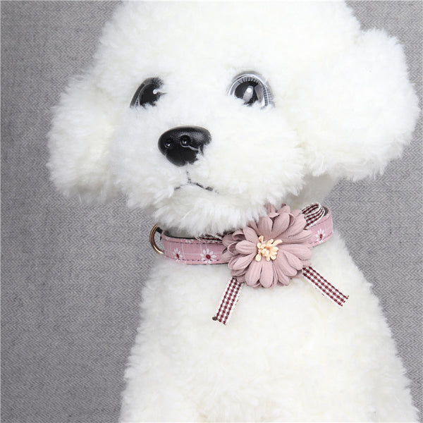 Pet Cat & Dog Collar | Cute Flower Design
