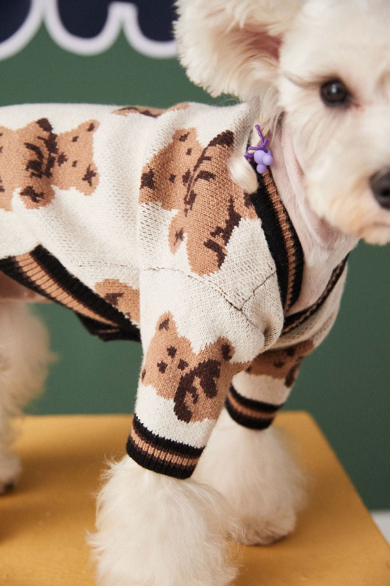Dog & Cat Sweater | Preppy Striped V-Neck Winter Vest