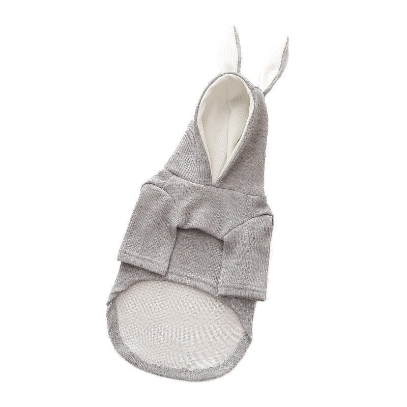 Dog Pet Clothes for Spring & Autumn | Stylish Seasonal Outfits UK