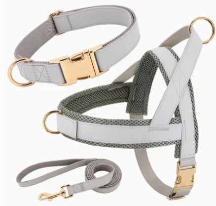 Custom Dog Harness & Leash Combo | Safe & Stylish