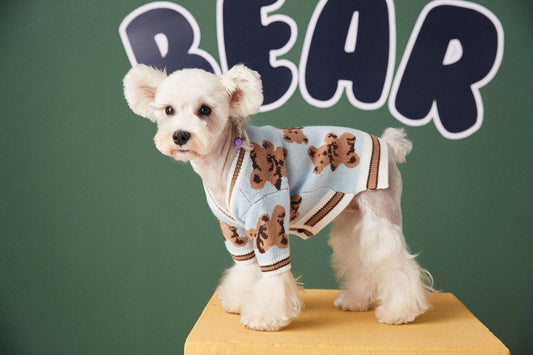 Dog & Cat Sweater | Preppy Striped V-Neck Winter Vest