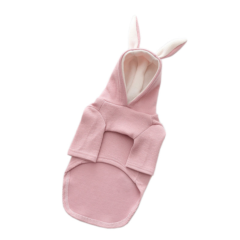 Dog Pet Clothes for Spring & Autumn | Stylish Seasonal Outfits UK