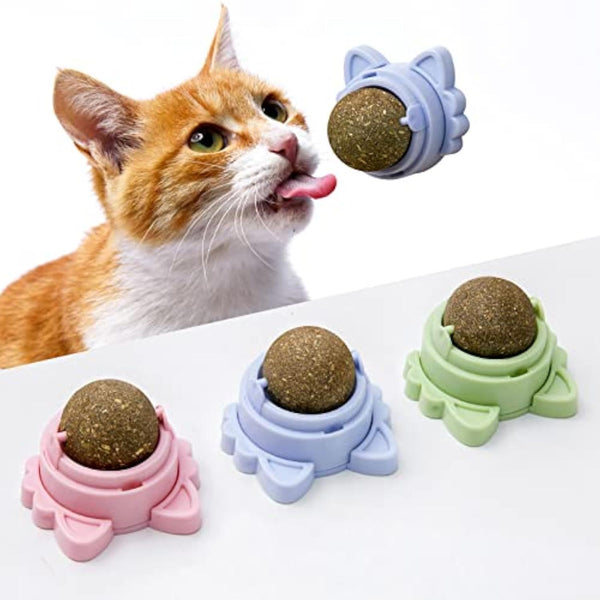 Catnip Balls for Cats – Wall-Mounted Dental Chew & Treat Toy