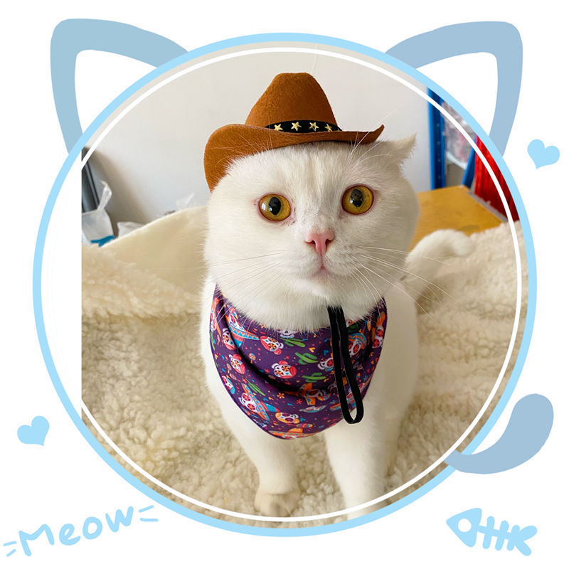 British Cat Hat – XINGX Cowboy Hat for Cats & Small Pets
