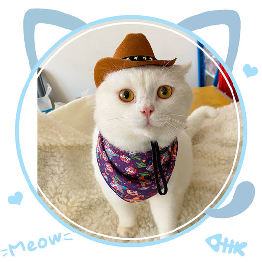 British Cat Hat – XINGX Cowboy Hat for Cats & Small Pets
