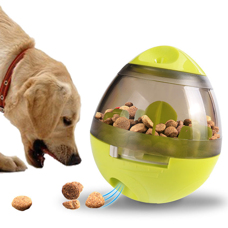 Dog Accessories