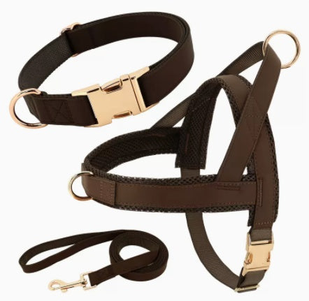 Custom Dog Harness & Leash Combo | Safe & Stylish