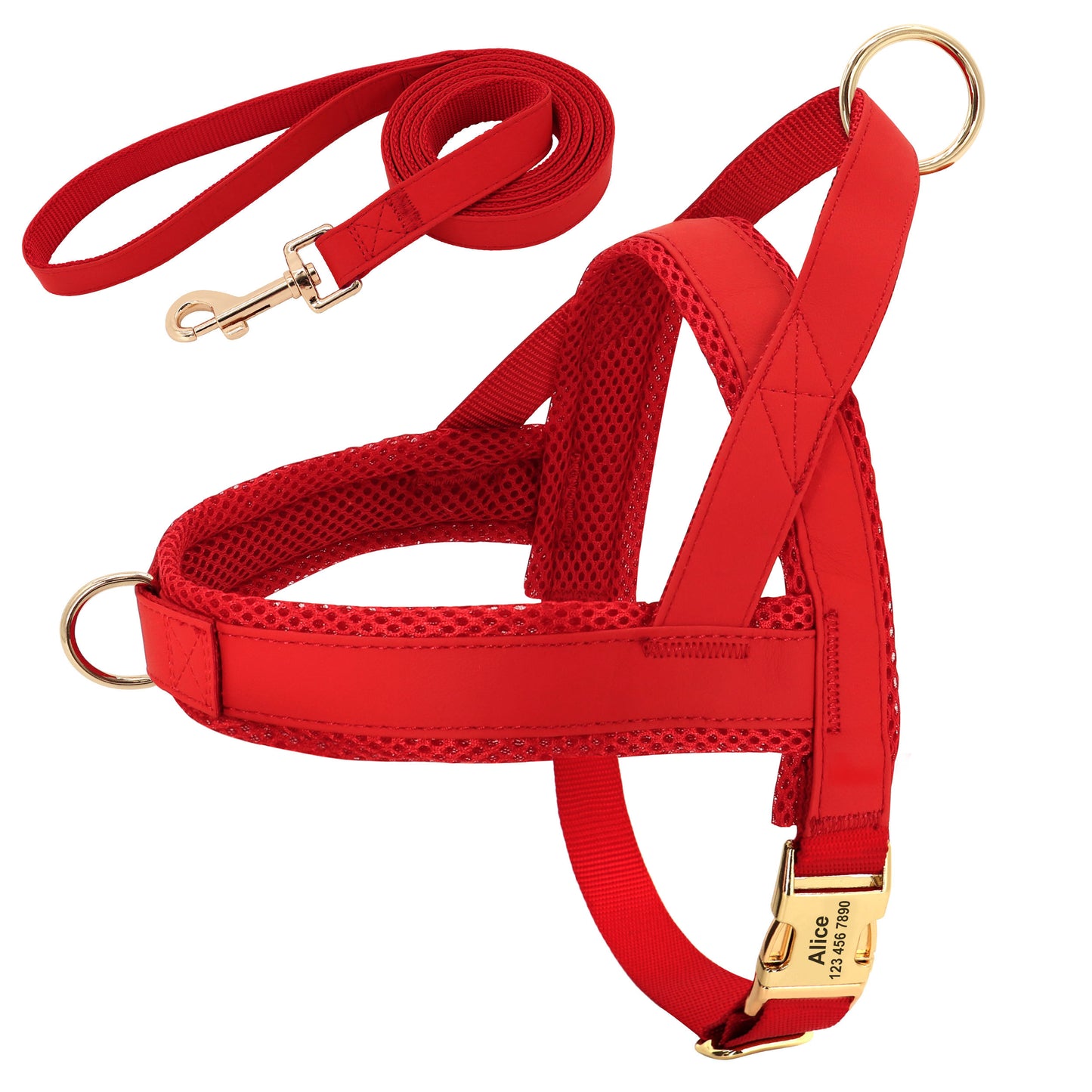 Custom Dog Harness & Leash Combo | Safe & Stylish