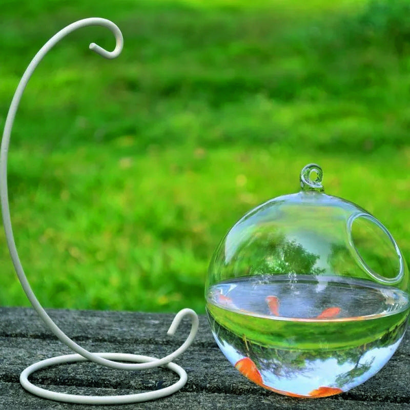 Hanging Glass Vase Fish Tank | Unique Home Aquarium