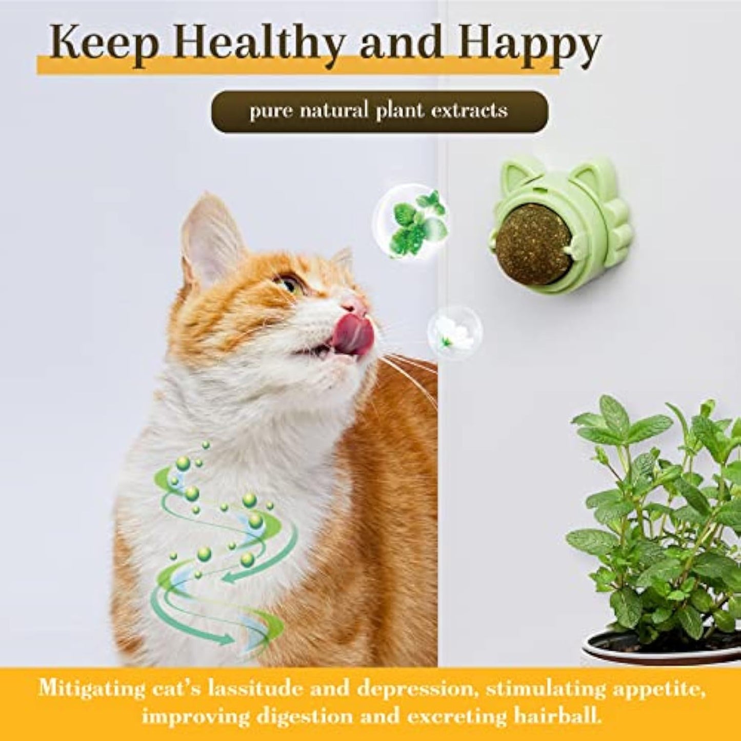 Catnip Balls for Cats – Wall-Mounted Dental Chew & Treat Toy