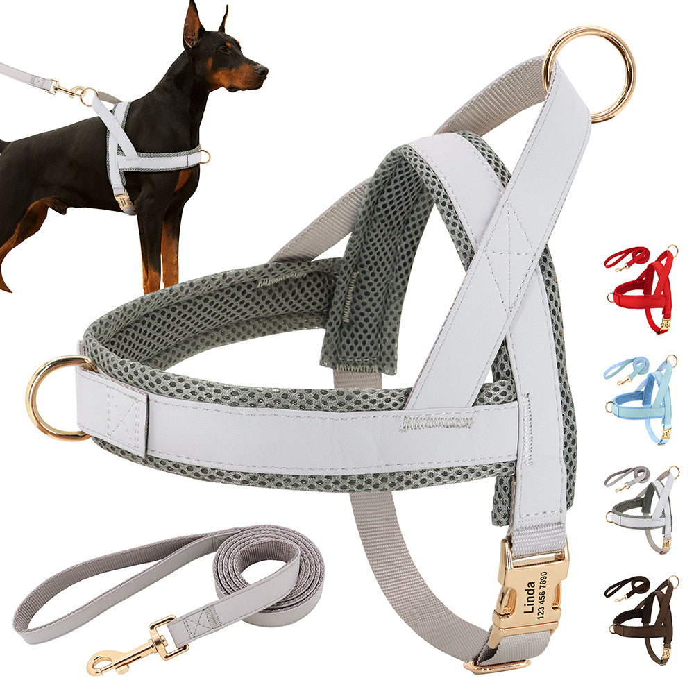 Custom Dog Harness & Leash Combo | Safe & Stylish