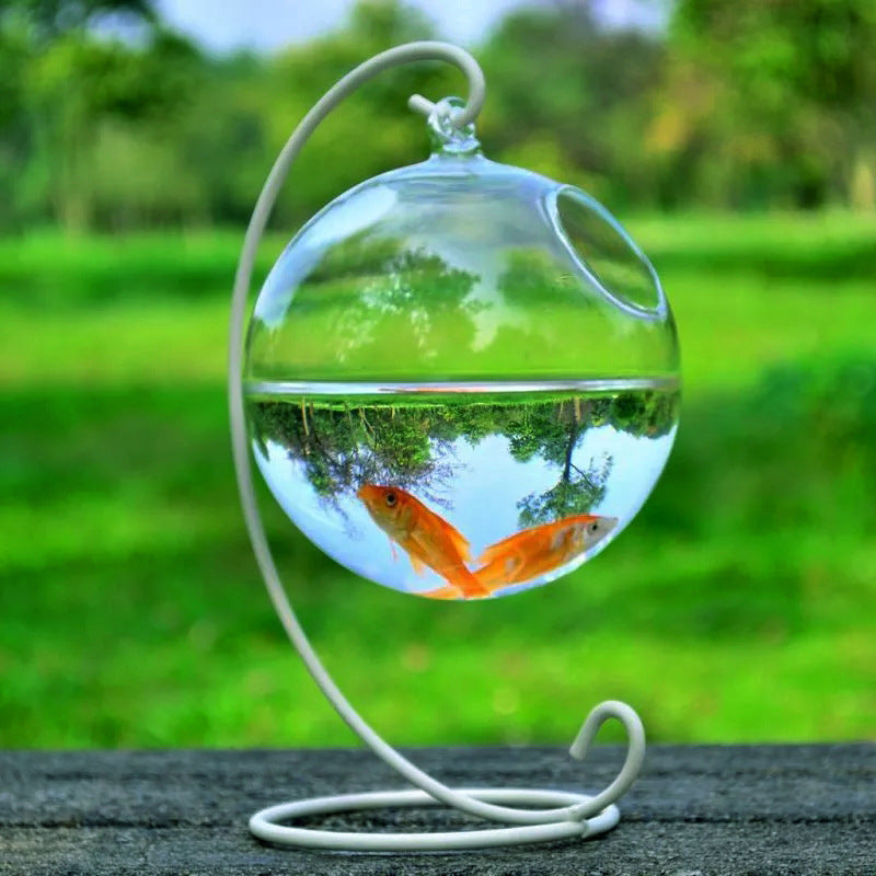 Fish & Aquatic Pets