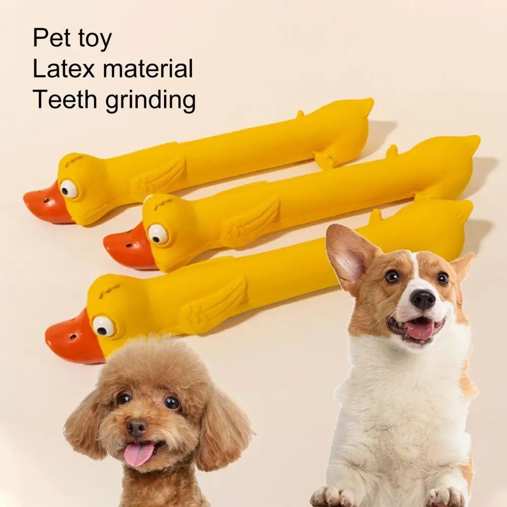 Teeth Grinding Latex Dog Toy | Yellow Duck Squeaky Chew Toy UK