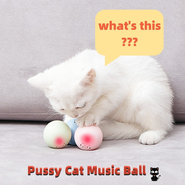 Cat Music Ball Toy UK | Interactive Sound & Bite Toy for Cats
