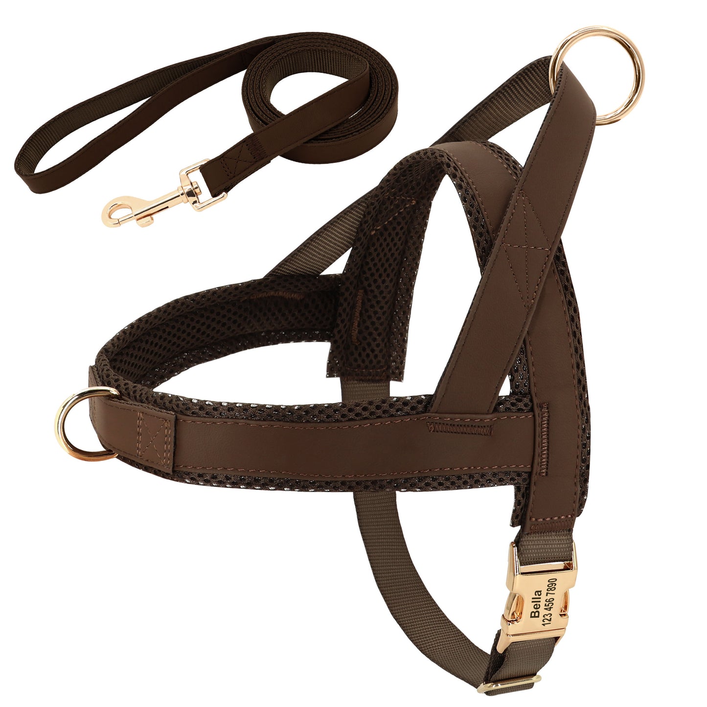 Custom Dog Harness & Leash Combo | Safe & Stylish