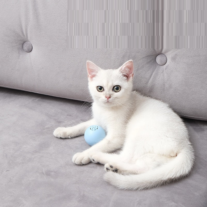 Cat Music Ball Toy UK | Interactive Sound & Bite Toy for Cats