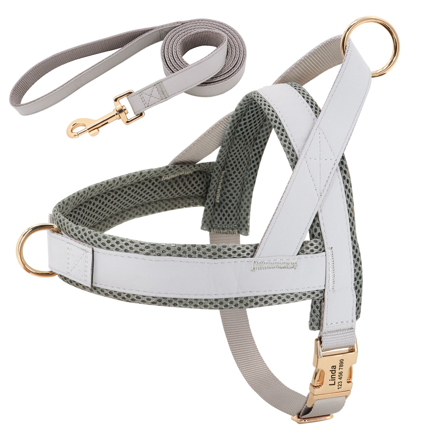 Custom Dog Harness & Leash Combo | Safe & Stylish