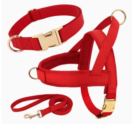 Custom Dog Harness & Leash Combo | Safe & Stylish