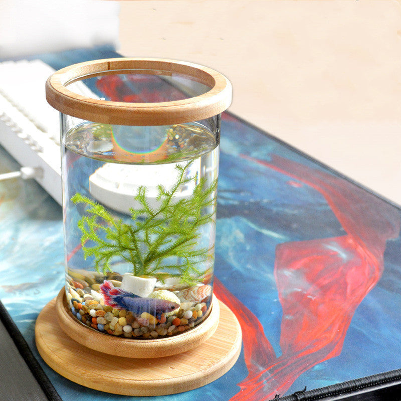 Mini Glass Aquarium with Bamboo Base | The Petorium UK
