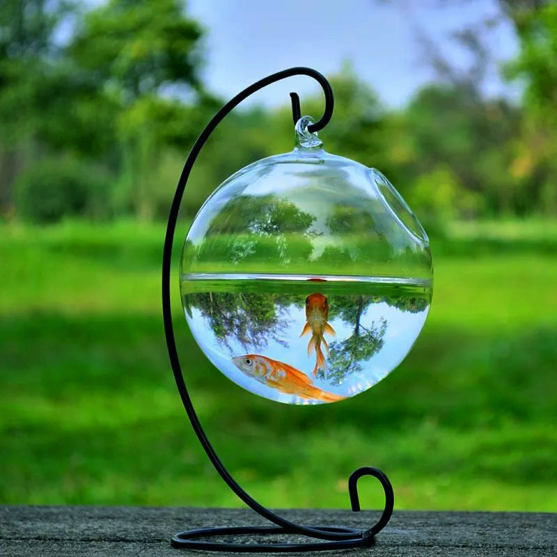 Hanging Glass Vase Fish Tank | Unique Home Aquarium