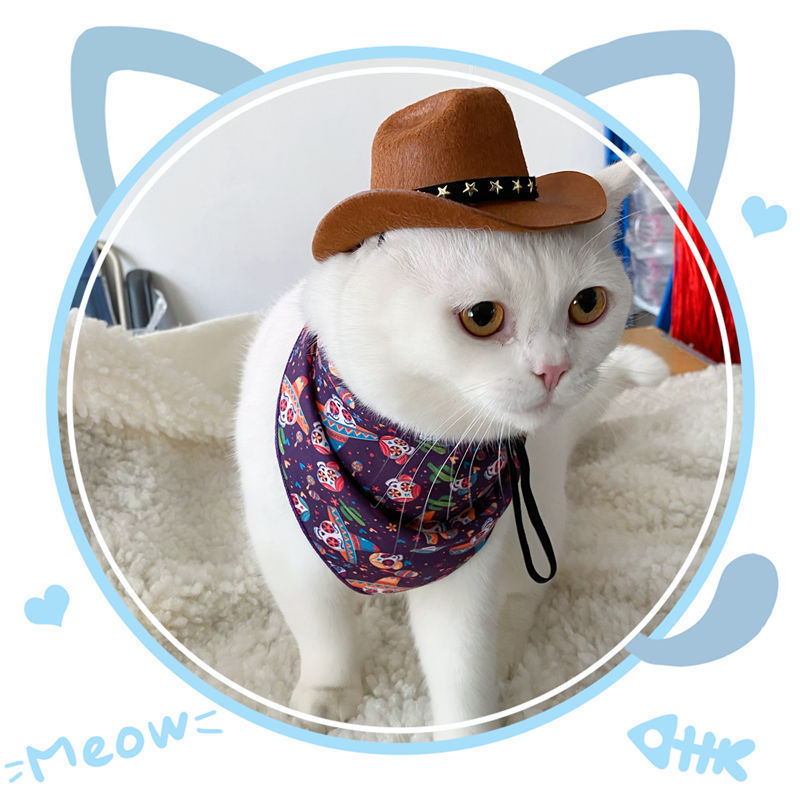 British Cat Hat – XINGX Cowboy Hat for Cats & Small Pets