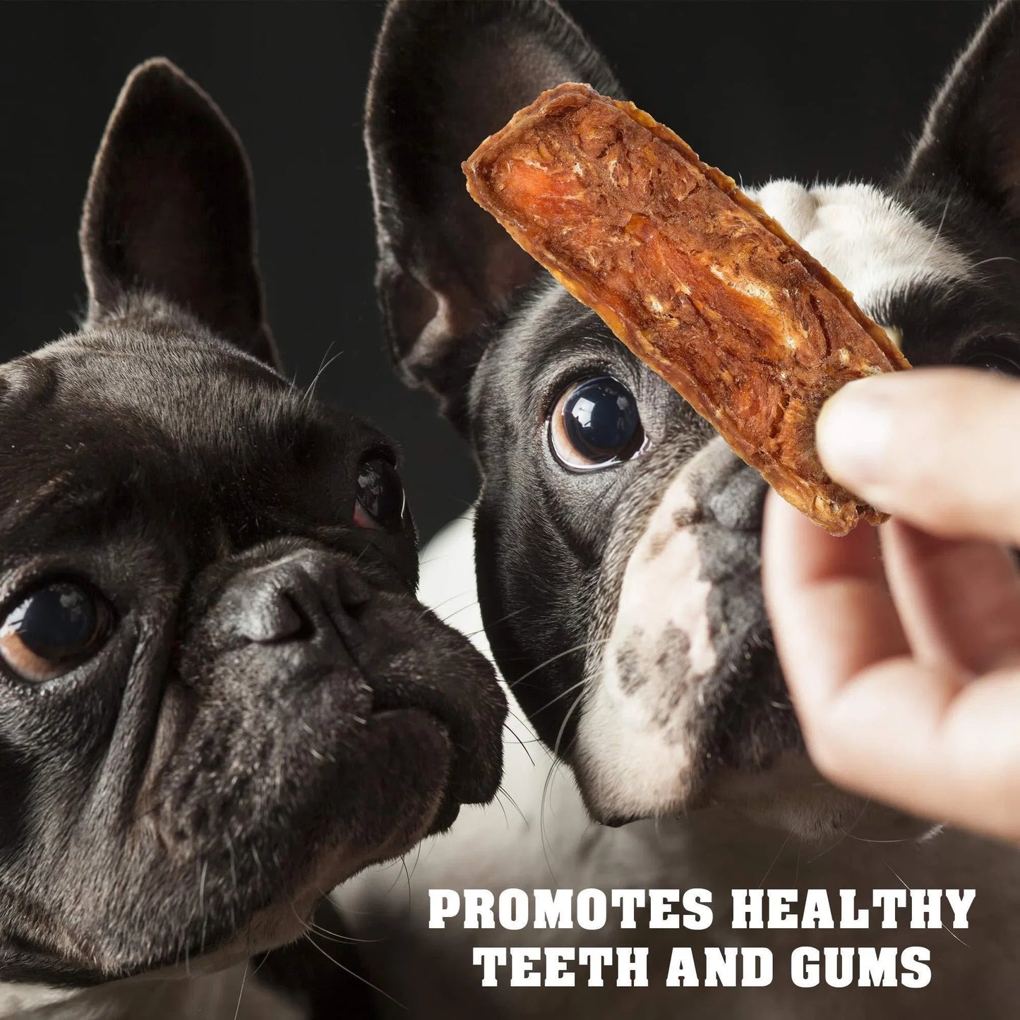 Chicken Jerky Dog Treats – 1.5 lb Grain-Free, Human Grade & High Protein