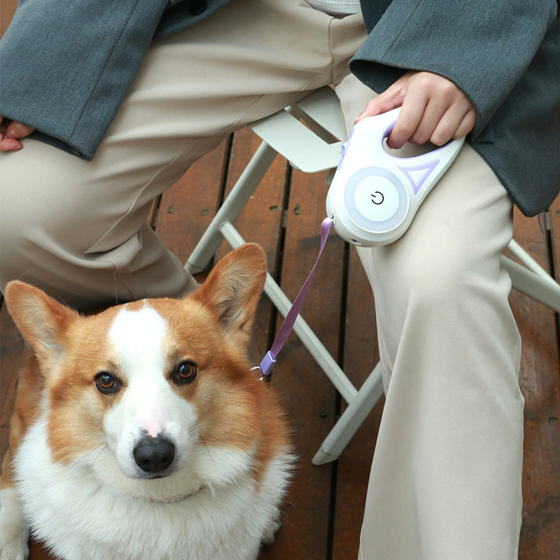Retractable Dog Leash & Collar UK | Automatic LED Pet Rope | The Petorium