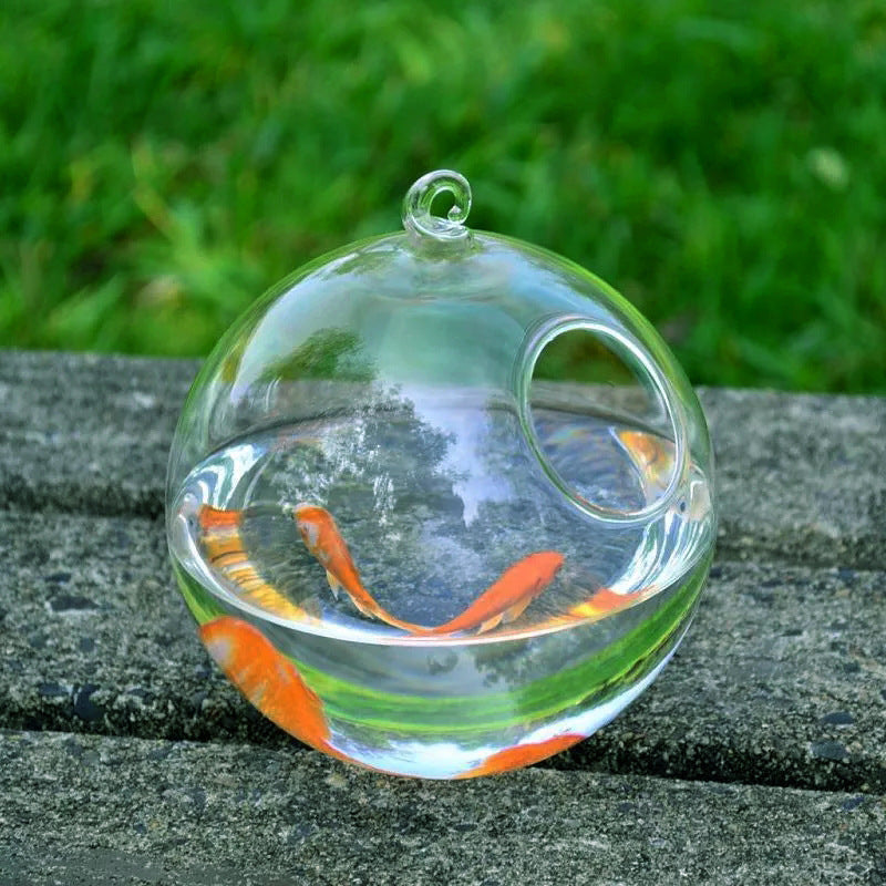 Hanging Glass Vase Fish Tank | Unique Home Aquarium
